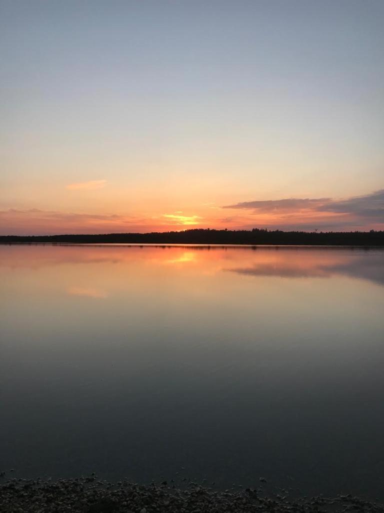 New Forest View 博利厄 外观 照片